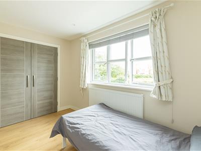 Picture 13
